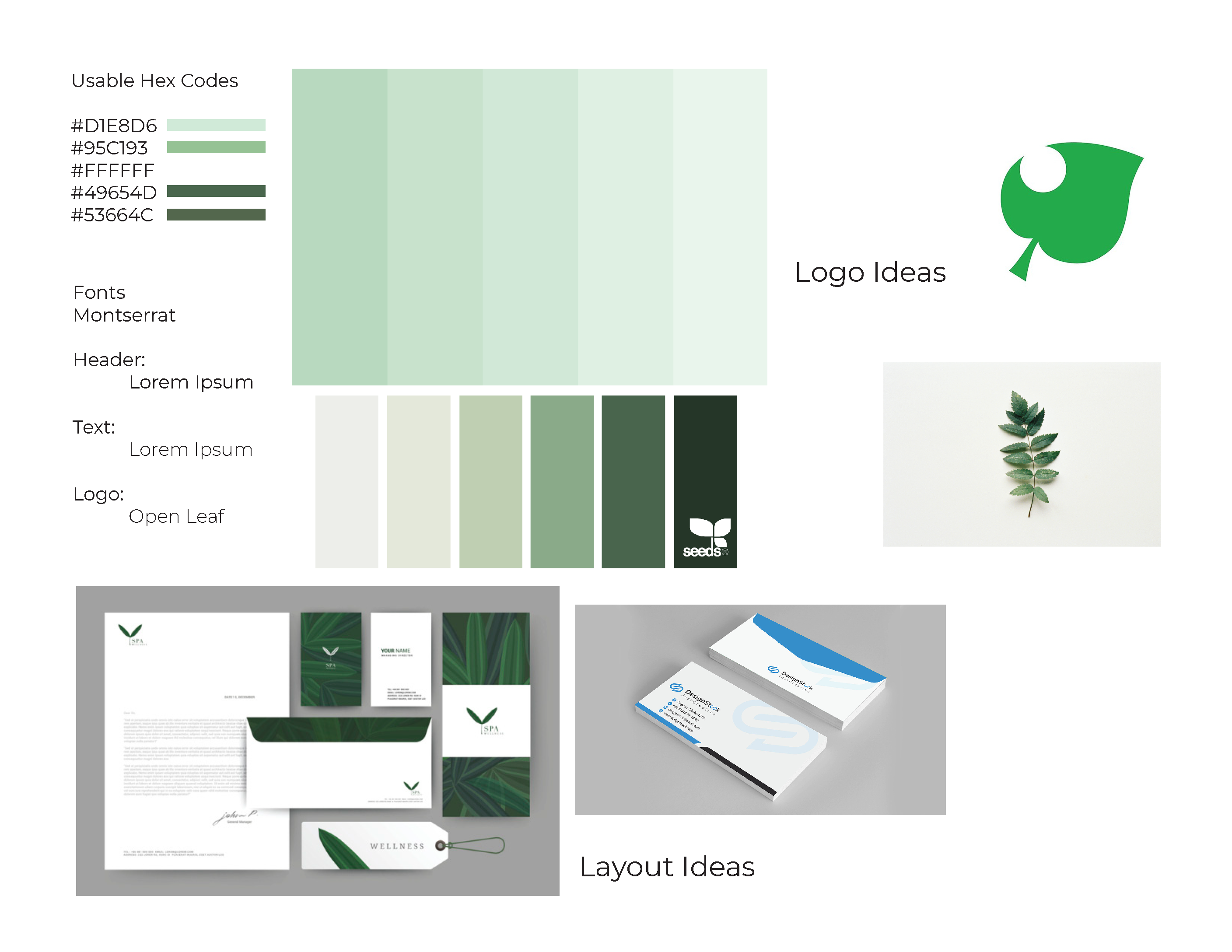 Open Leaf Inspirattion