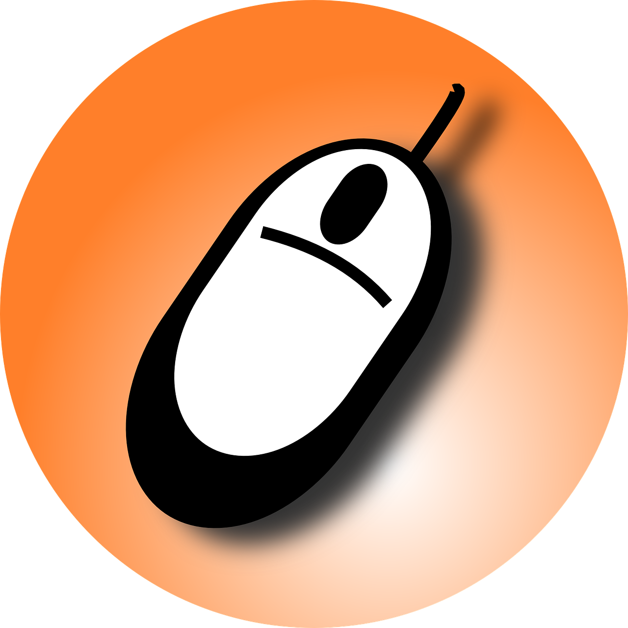 souris