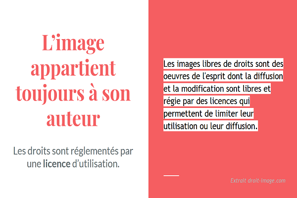 Droit d'auteur & copyrighhts