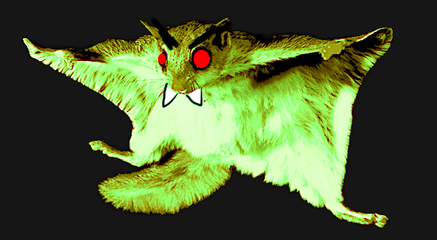 evil version of a flying squirrel